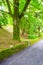 Stone fence beside the road