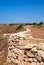 The stone fences stretch across the fields of Qrendi, Malta.