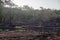 Stone field in the forest. The sun is setting.