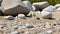 Stone figures on the beach of the Sorve Peninsula in Ojessaare Nature Reserve. Estonia,