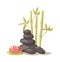 Stone, flower and bamboo hygiene items for bath spa Health treatment therapy vector.