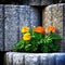 Stone Flowerbed Wall