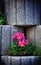 Stone Flowerbed Wall