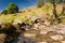 Stone footbridge over Rowentreethwaite Beck