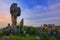 Stone Forest