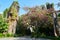 The stone forest and flowers