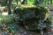 Stone in the forest overgrown with moss. Selective focus. Wildlife background