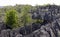 Stone forest, Tsingy de Bemaraha, calcareous rock, Madagascar