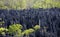 Stone forest, Tsingy de Bemaraha, calcareous rock, Madagascar