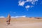 Stone formation Pacana Monks, Monjes De La Pacana, The Indian Stone, near Salar De Tara, Los Flamencos National Reserve