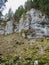 Stone formations near saut du doubs waterfall in the region of d