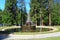 Stone Fountain in Forest