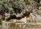 Stone fountain at Mundo source in natural park los Calares del Mundo and la Sima, near Riopar. Castile La Mancha, Spain.