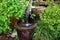 Stone fountain in Robledillo de Gata. Caceres. Spain