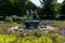 Stone fountain and sculpture in city park in Helsingborg surrounded by many blossoming summer flowers