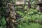 Stone Ganesha statue in garden