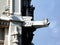 stone gargoyle and exterior detail of the Hungarian Parliament