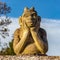 Stone gargoyle or goblin with head in hands. Stockport, UK