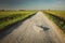 Stone in a gravel road, horizon and sky