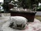 Stone graves with animal figures in a cemetery of Lake Toba, Pulau Samosir. Indonesia