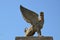 The stone griffin sits on a pedestal against the blue sky in the