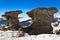 Stone group in Carpathian Mountains