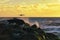 Stone groyne with seagull at sunset on the beach of BlÃ¥vand in Denmark . Landscape