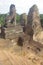 Stone Guardian at Pre Rup in Angkor