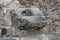 Stone head in the Temple of the Feathered Serpent, in Teotihuacan, Mexico