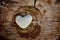 Stone heart shape on wood background