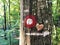 Stone heart on tree with mountaineering mark