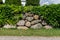 Stone hedge covered with ivy in the park