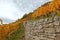 Stone hedge on a hill for golden vines, sunny day