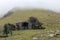 stone hermitage on the crest of mount anboto