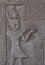 Stone Hieroglyphic Carvings at Kom Ombo Temple