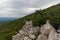Stone hiking trail with pinus mugo shrub around in Karkonosze mountains in Poland