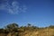 Stone hill with forest and blue sky in Antonio Rosa Park in Brazil