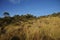 Stone hill with forest and blue sky in Antonio Rosa Park in Brazil