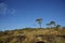 Stone hill with forest and blue sky in Antonio Rosa Park in Brazil