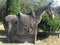 A stone horse statuary