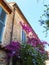 A stone house in Antibes. Windows with light blue blinds. Wall covered in flowers