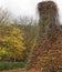 Stone house, Autumn leaves, dying creeper.