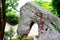 The Stone house in Chinese tradition Culture and Architecture