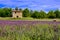 Stone house among lavender fields, Provence, France