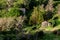 Stone house in wood, Flores island, Azores archipelago (Portugal)