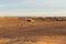 Stone houses in the desert, Sahara desert