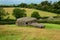 Stone hut at Newgrange
