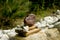 a stone with an inscription in Sanskrit