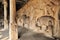 Stone inscriptions in cave Mamallapuram, India