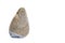 Stone of irregular shape and two colors clearly marked